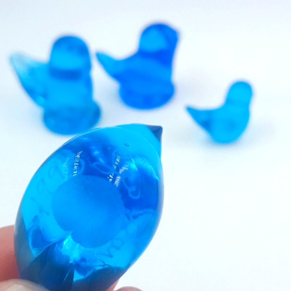 Bluebird of happiness family - Picture 3 of 5
